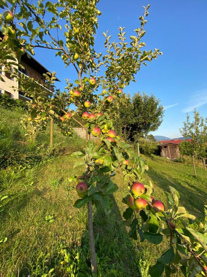 Haus Otis Apartment Millstatt Luaran gambar